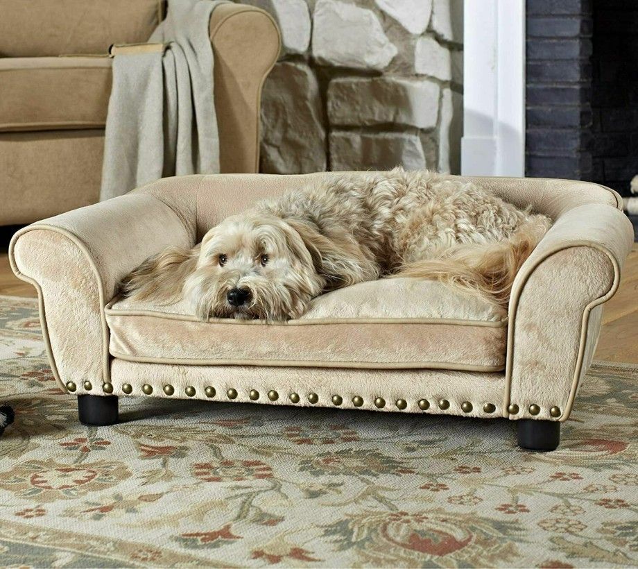 Pet Seat - Image 1